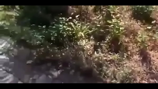 Chicos arrechos en cuarentena