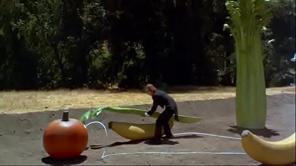 Profesor manda tarea que penetra fuertemente el internet delos estudiantesSleeperla pajaes mala