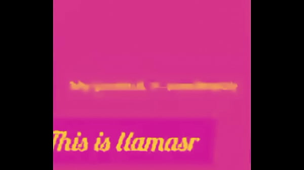 I'm so pink rose colored glasses remix