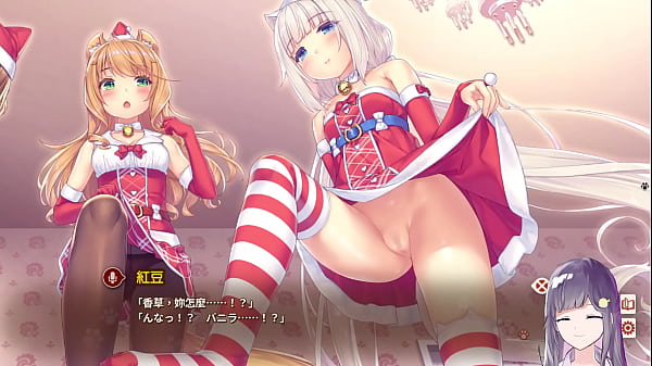 被三位貓娘踩踩【ayaya Vtuber】 thumbnail