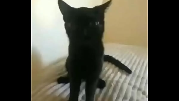 Nonton Jinx thumbnail