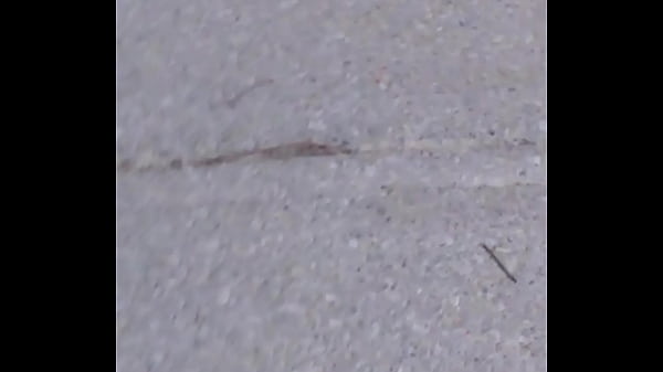 Nonton That Asss!!! thumbnail