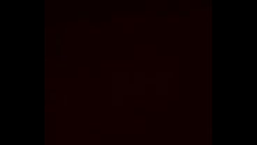 V&iacute;deo de verificaci&oacute;n 