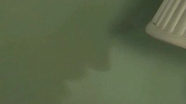 Nonton Tyranusmaul thumbnail