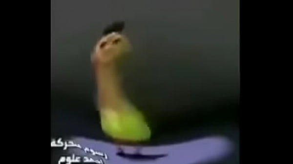 Pi0la
