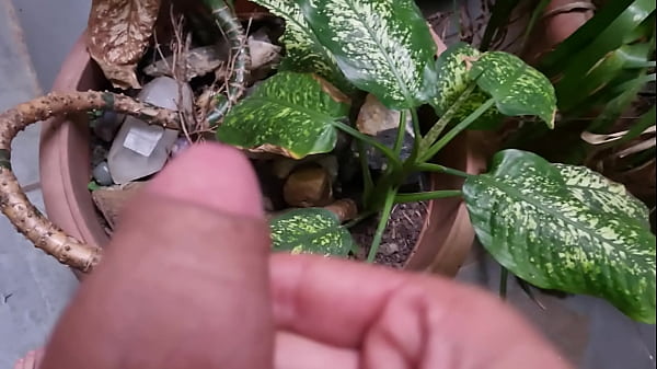 Play MP4 - Jato do pau peludo safado