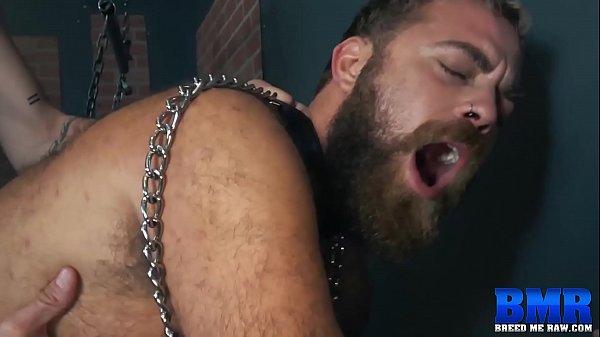 Chained Cub Blows Before Bareback 