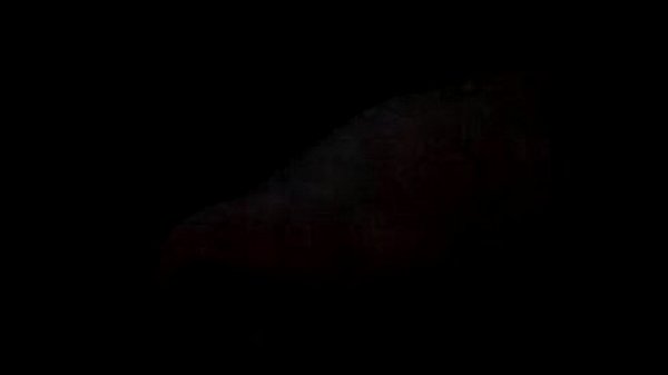 Nonton Fap Fap thumbnail