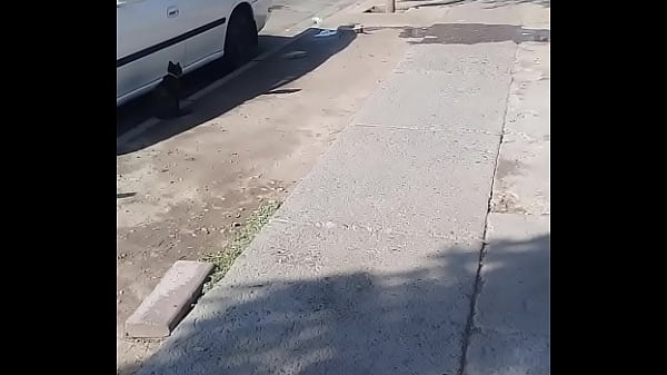 V&iacute_deo de verificaci&oacute_n