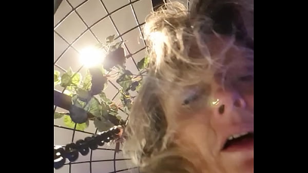 Alineflavio - update #99 - 20230829 114052 - Jul 16, 2024 