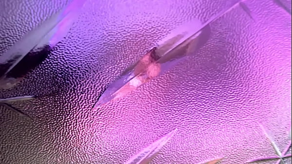 Nonton Caught Milf Jerking Off And Huge Cum Load Her thumbnail