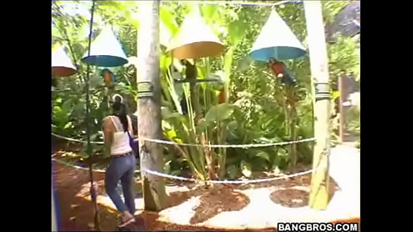 Lunch Break thumbnail