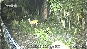 Verification Video thumbnail