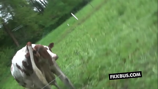 Play MP4 - FKK BUS 42 - Selina