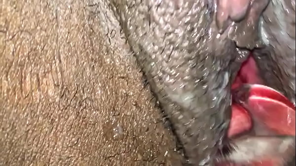 trim.747AB0A8-A0BF-484C-9D42-AA6AEAACCC99.MOV 