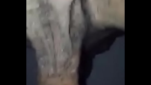 trim.217A8E88-6428-4D87-80FB-F2123A2431DD.MOV 