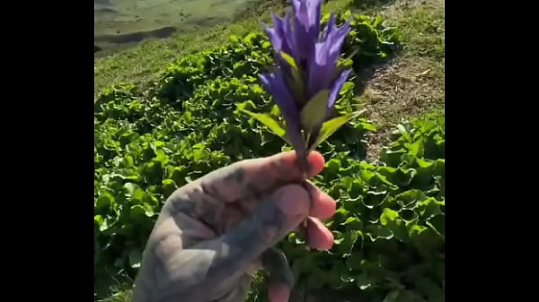 I got a super amazing flower from Lily lu filmz! ?What&rsquo;s the most thoughtful gift you&rsquo;ve ever received?#Flower... 