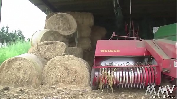 Die junge Magd will doch den Knecht - hämmern wie ein_Specht