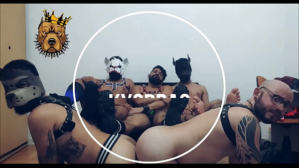 DOGS PARTY! full scene 3 on my XVIDEO RED 