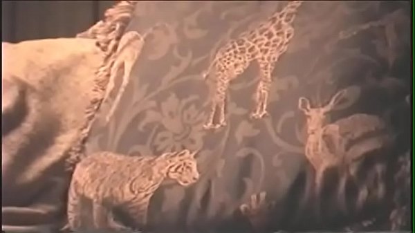 VERY_HOT LONGDICK SUCK ON MYHIDDENCAM