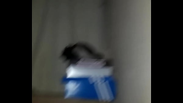 Dandole maraca a putica