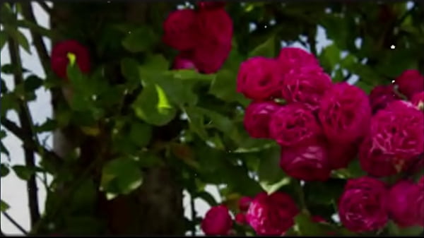 Play MP4 - Bangla Sex Story &vert; Motivational Story &vert; New Emotional Story &vert; Bangla Romantic Sex Story Part 2