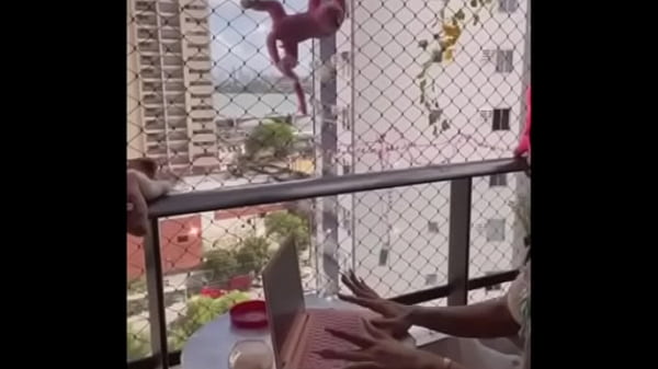 Subscription Now thumbnail