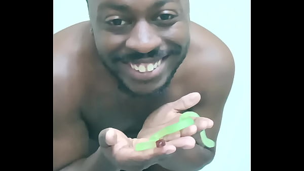 Scorpio zodiac animals that are green like a leaf 3 