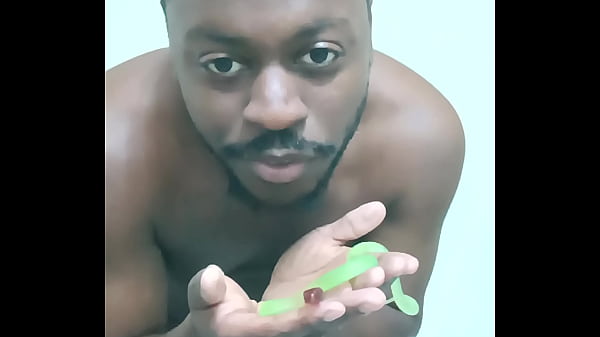 Scorpio zodiac animals that are green like a leaf 3 