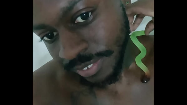 Scorpio zodiac animals that are green like a leaf 3 