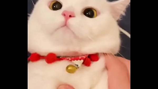 Gostosa