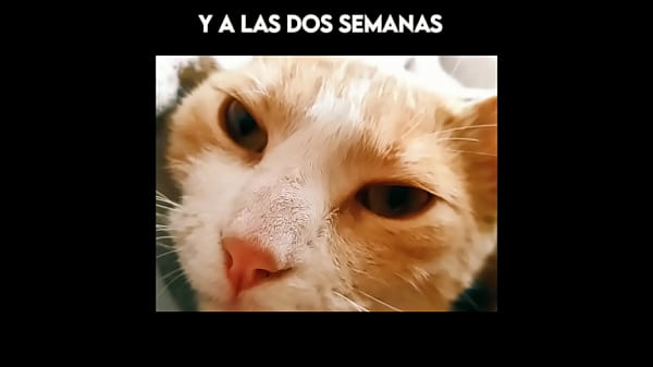 El gato kcheraso pe de sjl se corre en todas las &ntilde;ofis  Prev1...1011121314151617181920212223242526...112Next SEXBOKEP adalah Website Bokep Indonesia Terbaru dan Terlengkap Gratis dimana Anda dapat menonton streaming video bokep dan download vidio bokep terbaru yang sedang viral dengan aplikasi bokep android, Aplikasi bokep free download simontok app terbaru 2026 for PC Mobile Online dan HP     Contact Us   DMCA   Disclamer   Privacy and Policy   Conditions of Use  &copy; 2026 SEXBOKEP All rights reserved