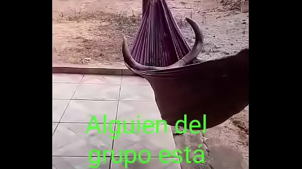 V&iacute_deo de verificaci&oacute_n