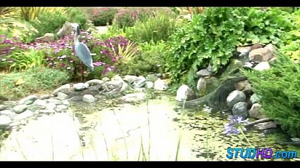 Babe fucks stud 0718