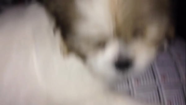 trim.F938F48D-3483-4C11-B43D-F06C290CA15D.MOV 