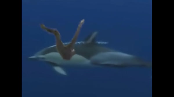 Ganbang in the soil for a misshapen guy 