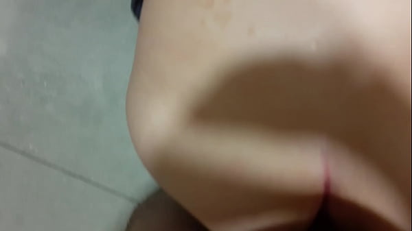 Un r&aacute;pidin de perrito 