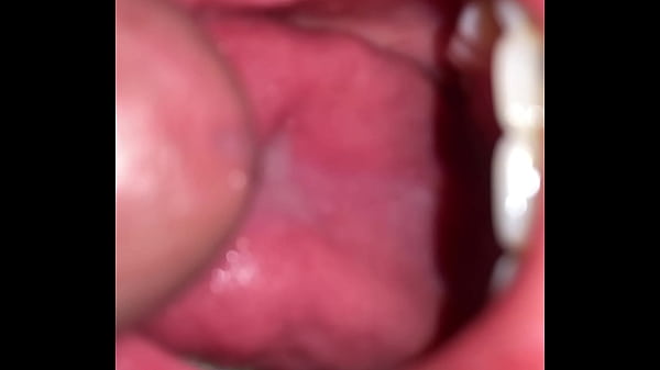 Native american swallow's