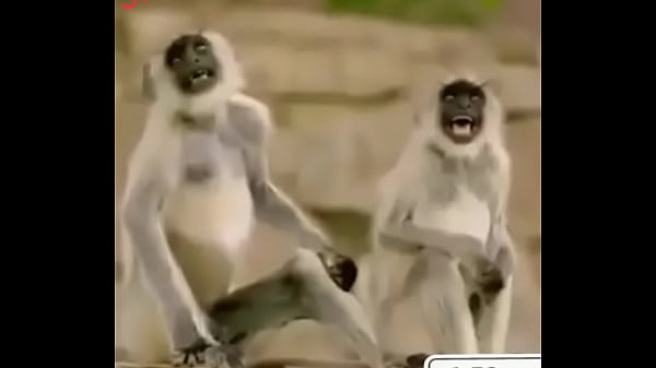 Destroyed anal and sweet fucking 