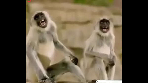 Destroyed anal and sweet fucking 