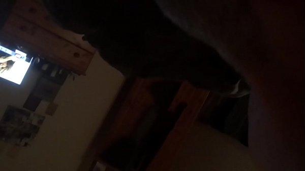 trim.1AF5DA2E-EAB6-4589-95F4-C27E8502BD1B.MOV 