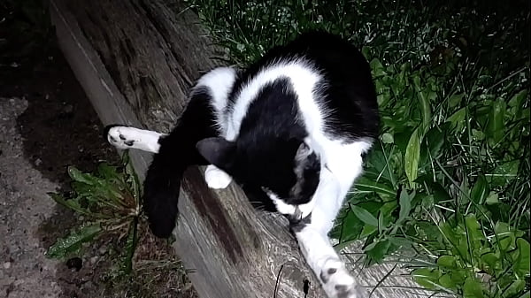 Nonton Gangsta By Lavon Trippy thumbnail