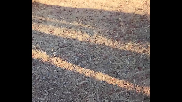Nonton Kaso221 - Outside Piss thumbnail