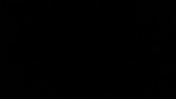 She loves to lick balls 