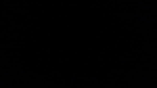 She loves to lick balls 