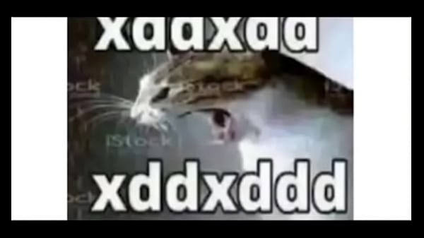 4 Garotas tentando arrombar umaporta