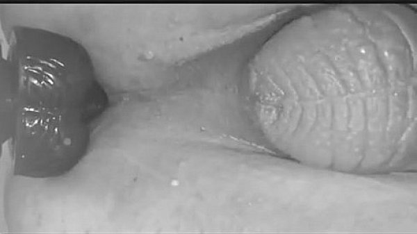 Dildo--Visit xxgaycams.com for more hot webcam guys 