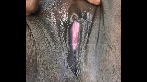 Sweet Chocolate Teen Pussy thumbnail