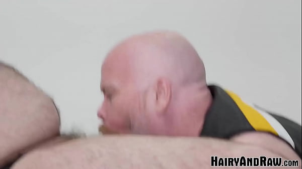 HAIRYANDRAW Fat Bears SteveBrody And Bearsilien Raw Breed