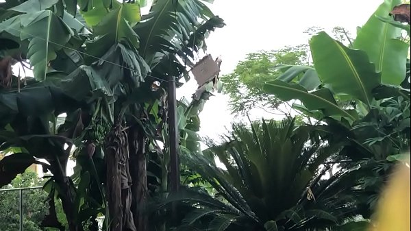 Video x&aacute_c minh